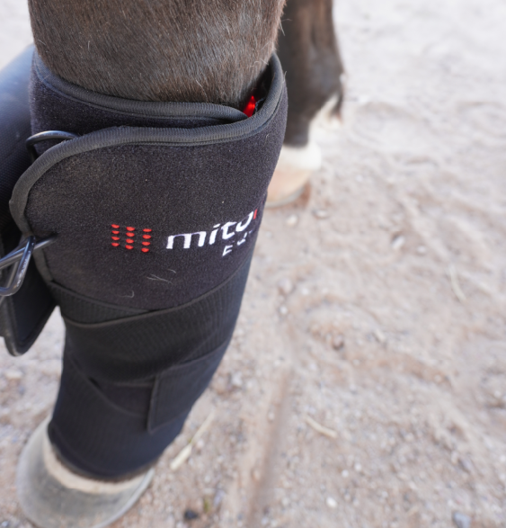 MitoEQUINE™ Tendon Pad